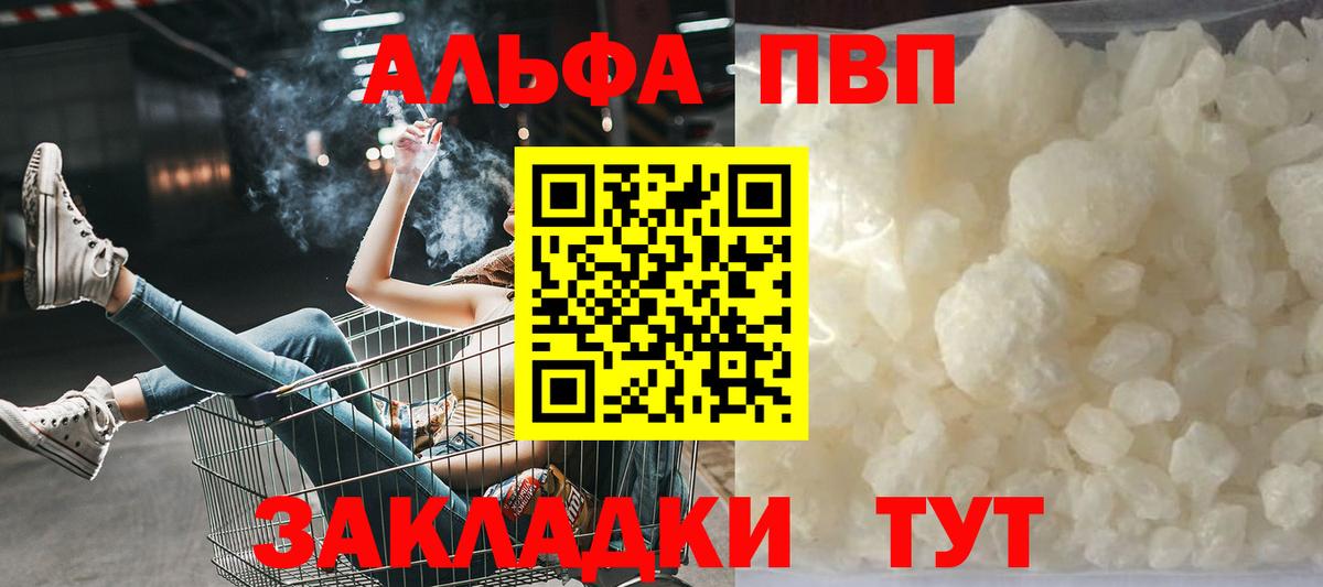 A PVP СК КРИС Балтийск