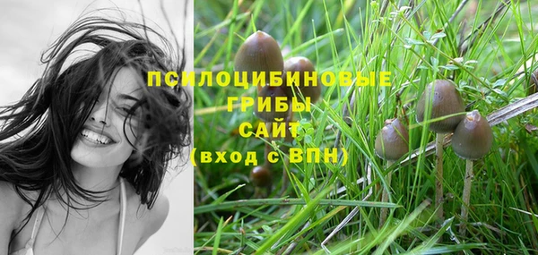 СК Пестово