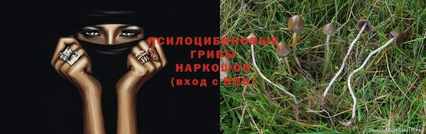 гашиш Пересвет