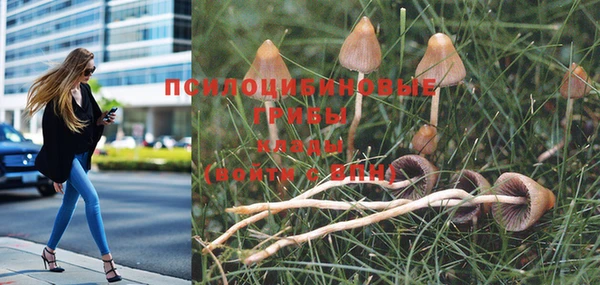 гашиш Пересвет