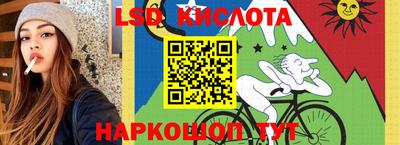 прущие грибы Будённовск