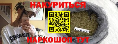 прущие грибы Будённовск