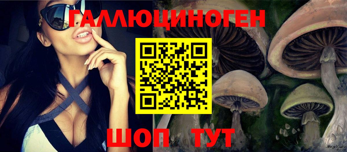 Галлюциногенные грибы Psilocybe  Балтийск  Галлюциногенные грибы Psilocybine cubensis 