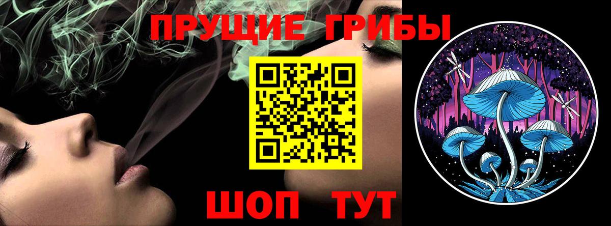Балтийск  Псилоцибиновые грибы Magic Shrooms  Вход с VPN  Псилоцибиновые грибы Psilocybe 