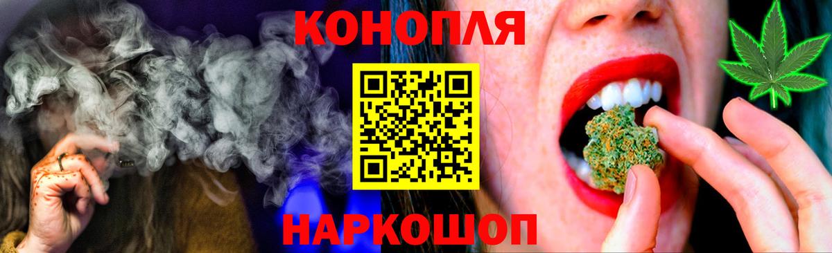 Бошки Шишки MAZAR Балтийск